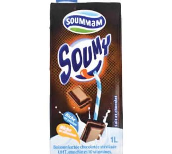 Boisson lactée chocolatée Soumy – Soummam – 1L